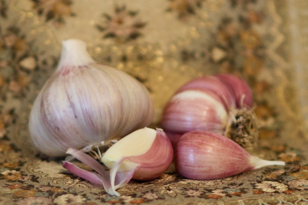 A Music garlic bulb broken into cloves