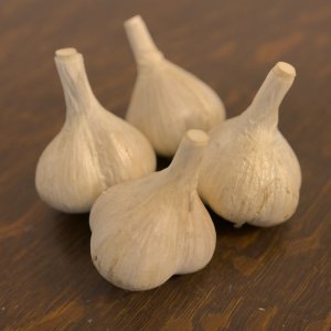 Music Hard Neck Garlic Seed - Grade C