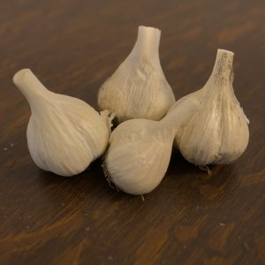 Music Hard Neck Garlic Seed - Grade D