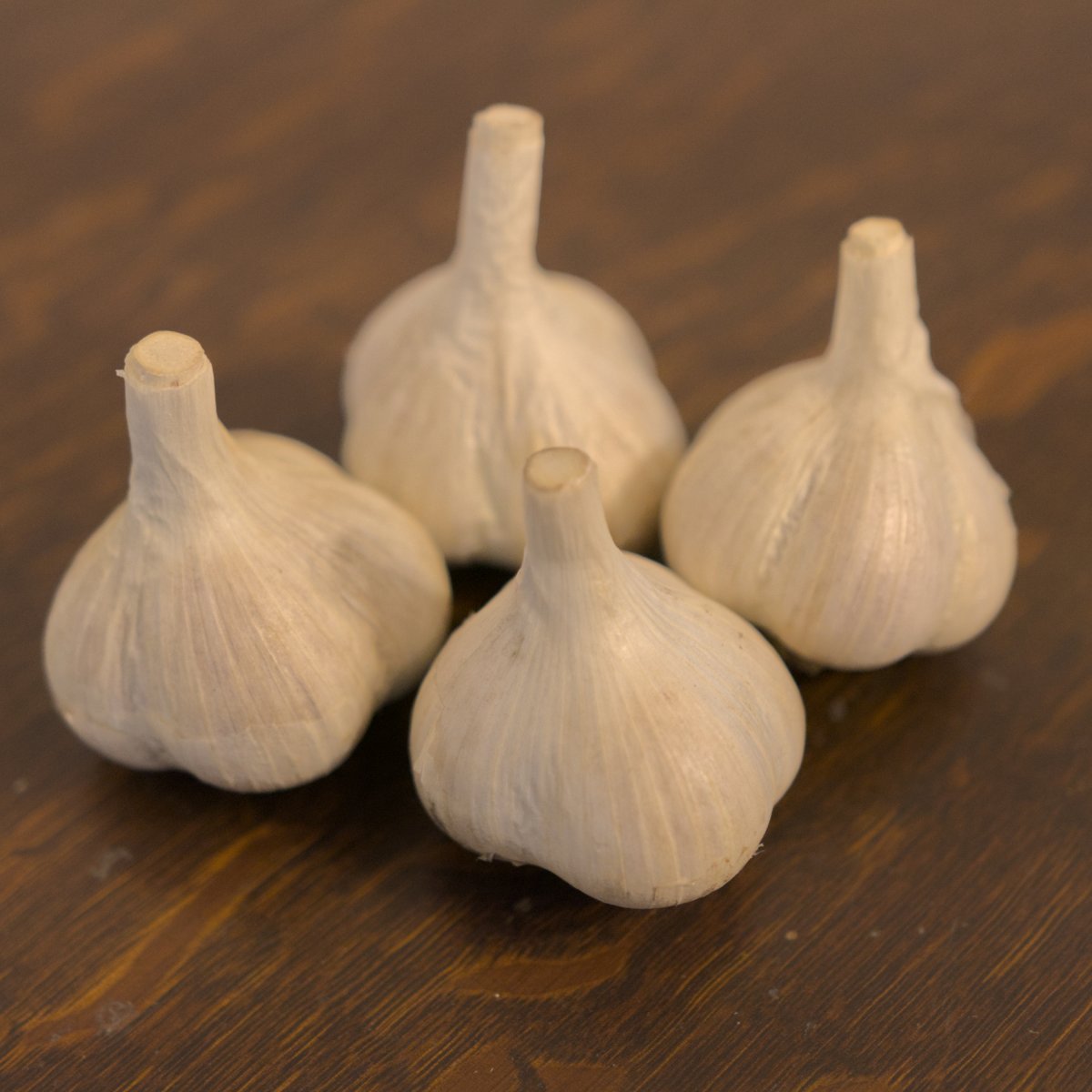 Music Hard Neck Garlic Seed - Grade B