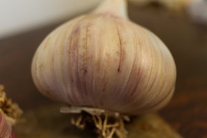 Music Hard Neck Garlic Seed - Grade D view 3