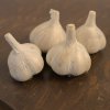 Music Hard Neck Garlic Seed - Grade A view 1