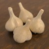 Music Hard Neck Garlic Seed - Grade C view 1