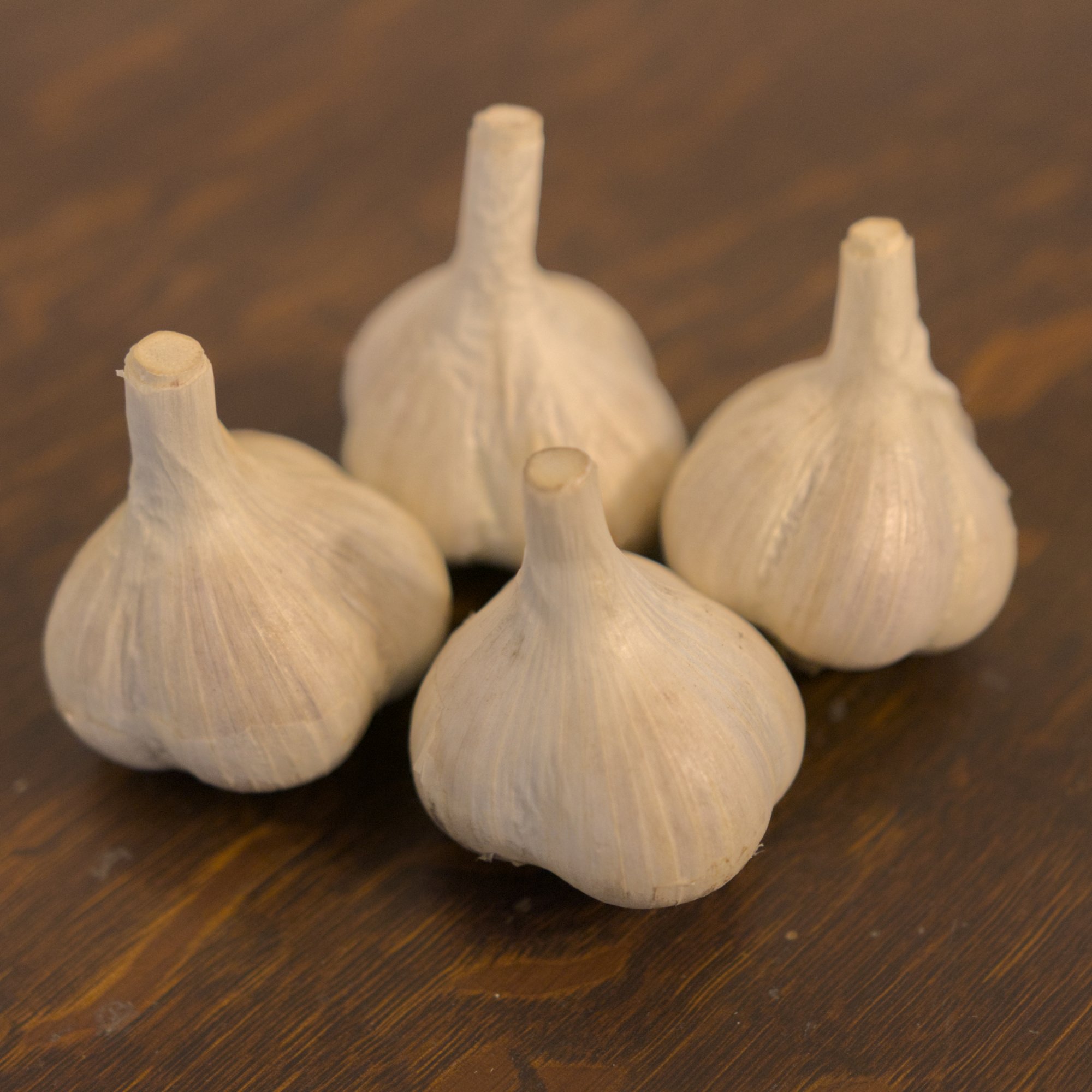 Music Hard Neck Garlic Seed - Grade B